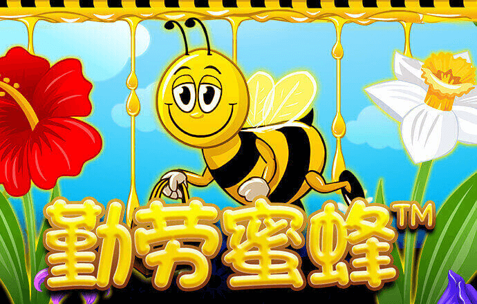 华体育app官网入口