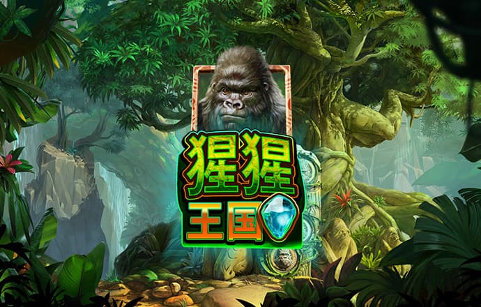 丝瓜影视网